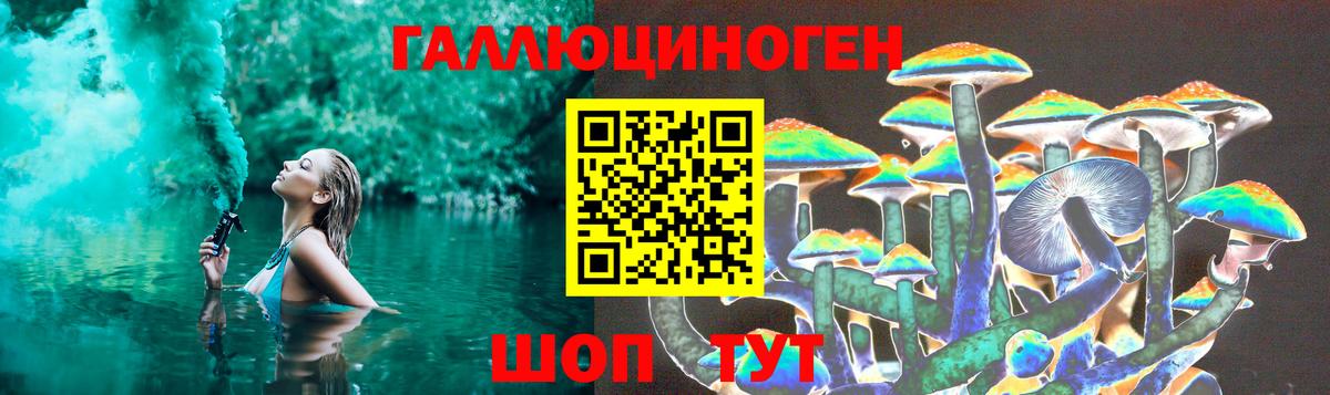 купить наркотик  Вход с VPN  Абинск  Псилоцибиновые грибы GOLDEN TEACHER  Галлюциногенные грибы MAGIC MUSHROOMS 